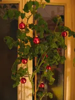 IMG_1360.webp