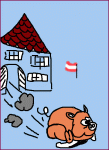 Saurauslassen2.GIF