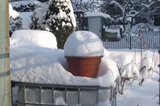 Garten 009.webp