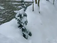 DSCF4605.webp