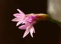 IMG_9373.webp
