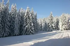 Dez.2010 009.webp
