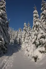 Dez.2010 014.webp