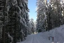 Dez.2010 017.webp