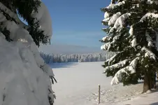 Dez.2010 019.webp