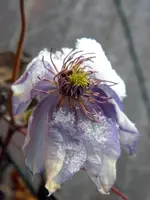 PC040068.webp
