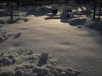 PC040077.webp