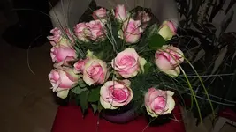 5.12.2010 001.webp
