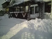 PIC00678.webp