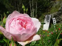 heritage3 (2).webp
