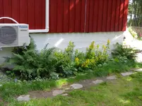 IMGP4225.webp