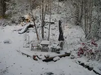 IMGP4506.webp