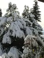 Schnee 2010-4.webp