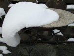 Schnee 2010-6.JPG