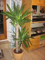 IMG_1056.webp