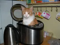 DSCF0006.webp