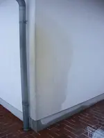 DSCF4564.webp