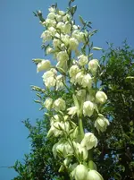 DSC01719.webp