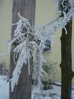 DSC03012.webp