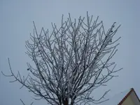 DSC03016.webp
