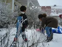 DSC03019.webp