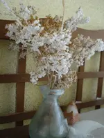 DSC03007.webp
