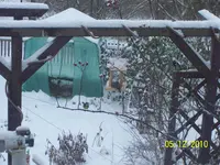 100_2705.webp