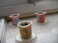 winterprojekt 002.webp
