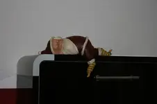 017.webp