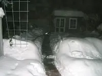 DSCF4637.webp