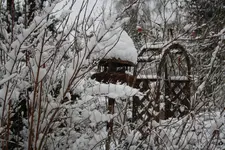 vogelhaus.webp
