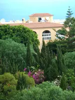 P1000205.webp