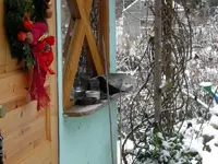 SDC12718.webp