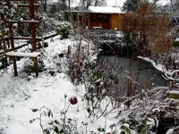 SDC12711.webp