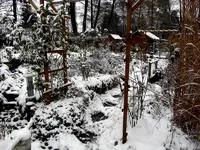 SDC12725.webp