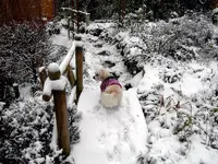 SDC12735.webp