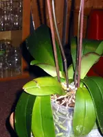 IMG_5184.webp
