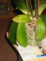 IMG_5185.webp