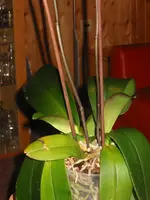 IMG_5187.webp
