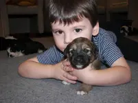 101_7131.webp