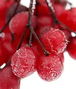PC071239.webp
