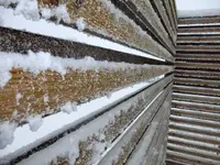 DSCF6152.webp