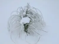 DSCF6160.webp