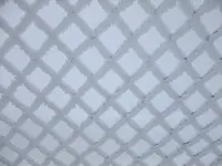 DSCF6167.webp
