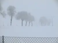 DSCF6171.webp