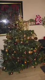 DSCF4733.webp