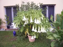RIMG0175.webp