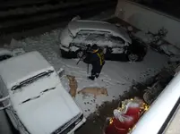 Schneegestöber 002.webp