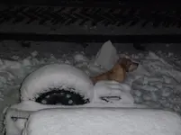 Schneegestöber 005.webp