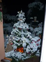 Schneegestöber 023.webp